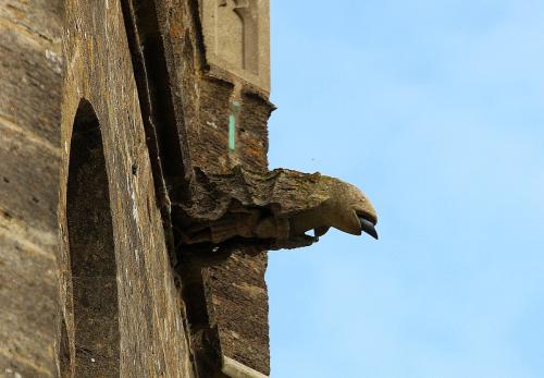 Salmon_gargoyle,_St_Mary_the_Virgin,_Frampton_-_geograph.org.uk_-_4388426